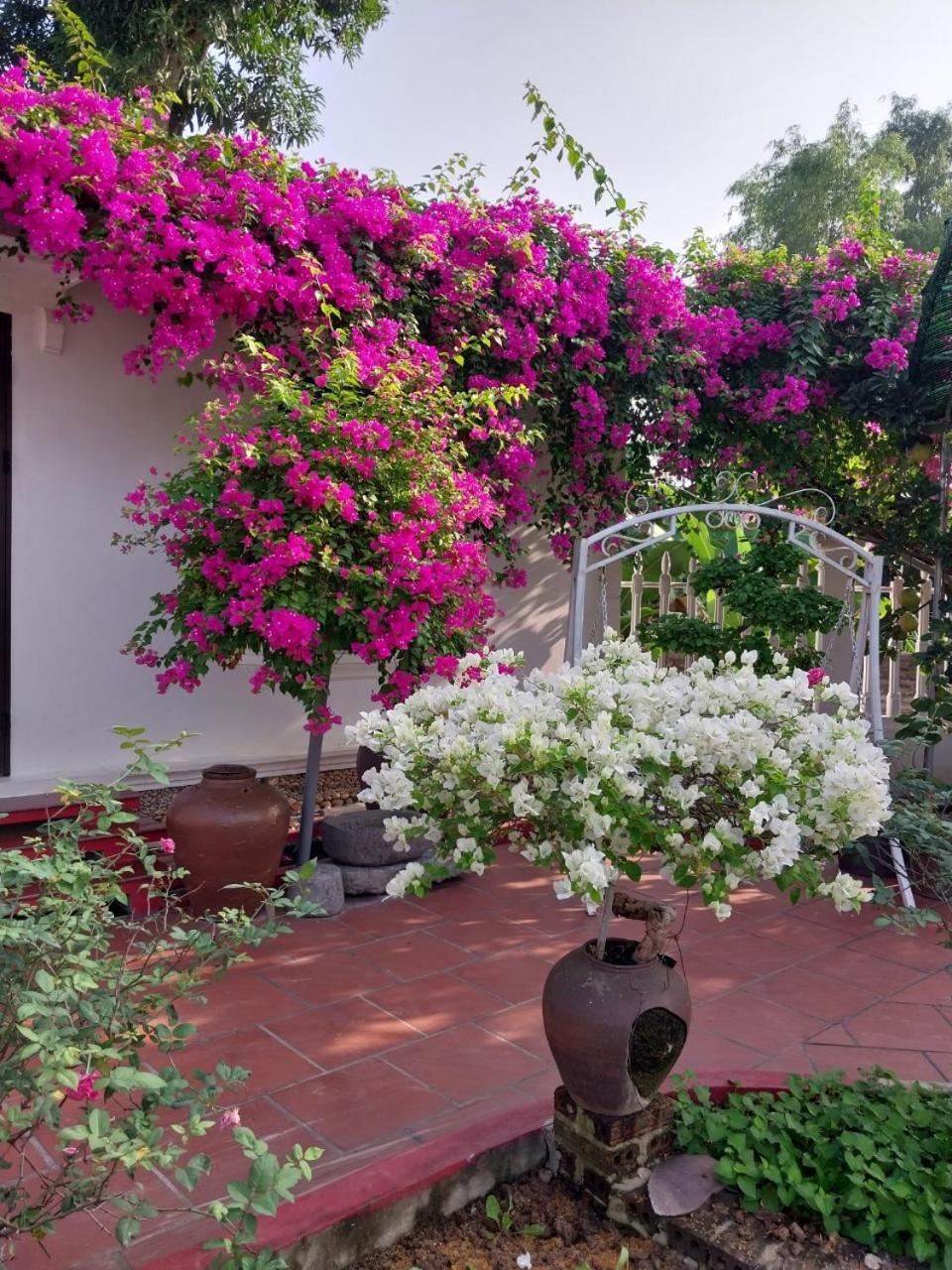 Nha Xanh Homestay Ninh Binh Zewnętrze zdjęcie