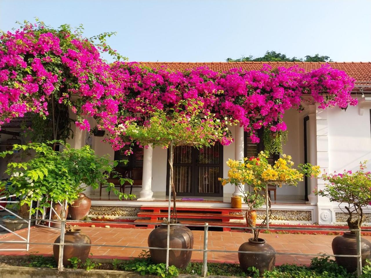 Nha Xanh Homestay Ninh Binh Zewnętrze zdjęcie